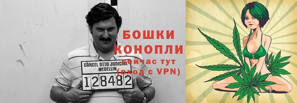 сатива Абдулино